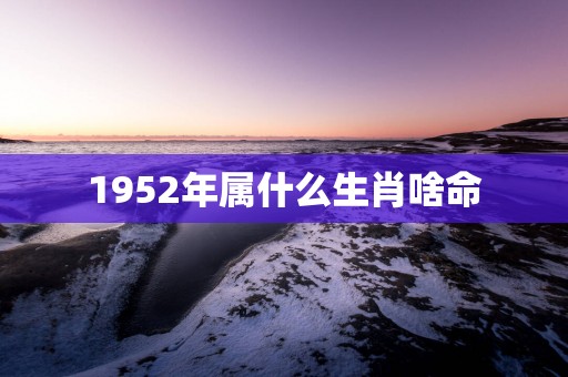 1952年属什么生肖啥命