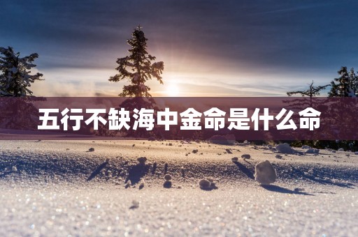 五行不缺海中金命是什么命