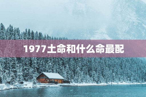 1977土命和什么命最配
