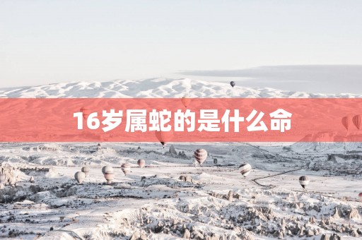 16岁属蛇的是什么命