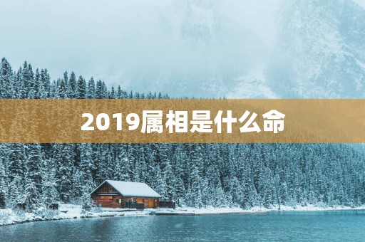 2019属相是什么命