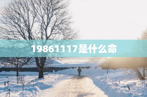 19861117是什么命