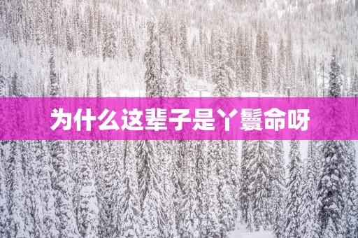 为什么这辈子是丫鬟命呀