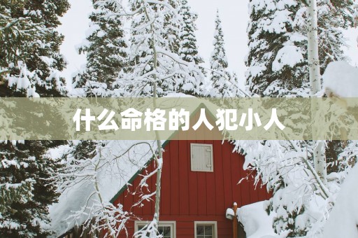 什么命格的人犯小人