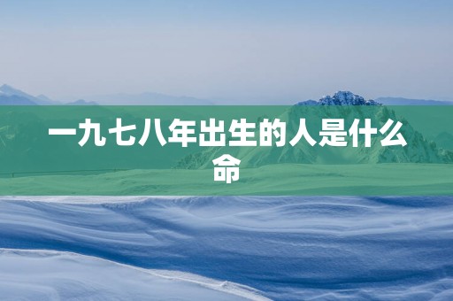 一九七八年出生的人是什么命