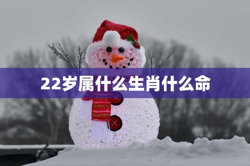 22岁属什么生肖什么命