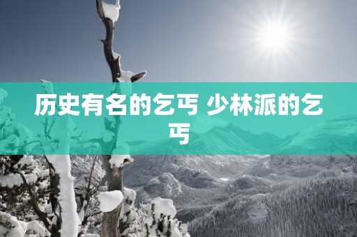 历史有名的乞丐 少林派的乞丐