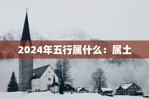 2025年五行属什么：属土