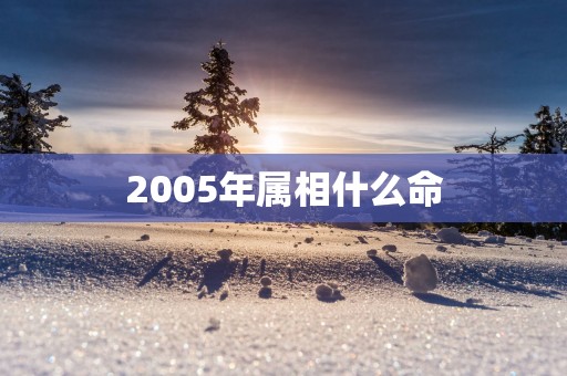 2005年属相什么命