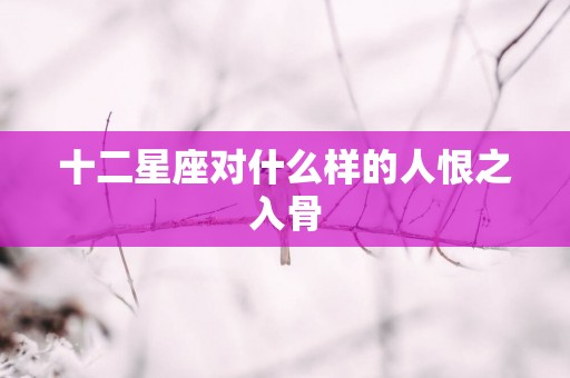 十二星座对什么样的人恨之入骨