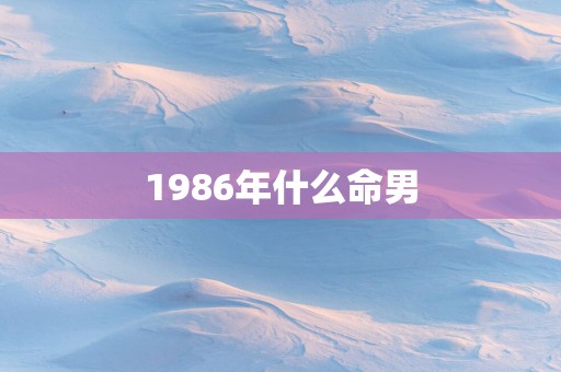 1986年什么命男