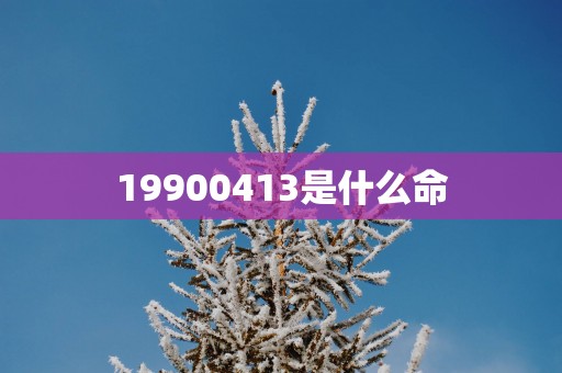 19900413是什么命