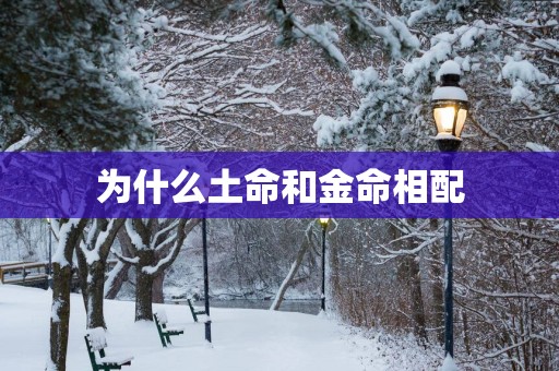 为什么土命和金命相配