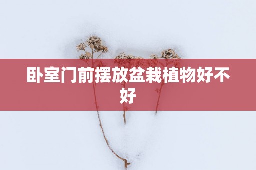 卧室门前摆放盆栽植物好不好