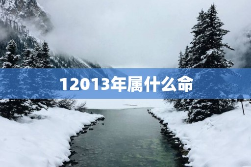 12013年属什么命