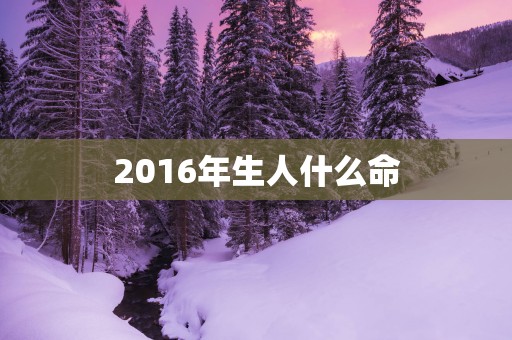 2016年生人什么命 2016年生人什么命
