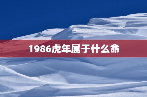 1986蛇年属于什么命