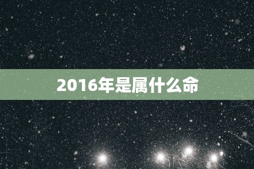 2016年是属什么命