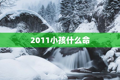 2011小孩什么命