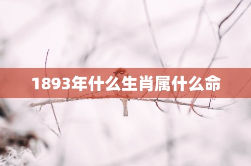1893年什么生肖属什么命