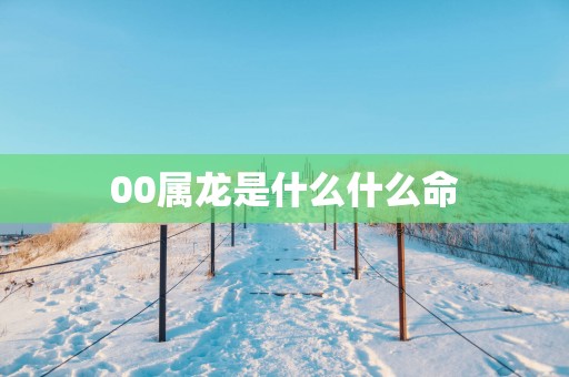 00属龙是什么什么命
