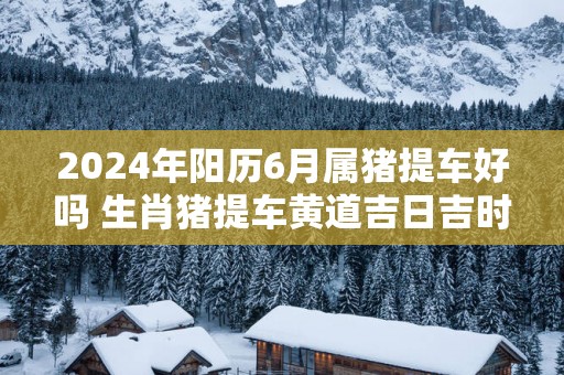 2025年阳历6月属猪提车好吗 生肖猪提车黄道吉日吉时