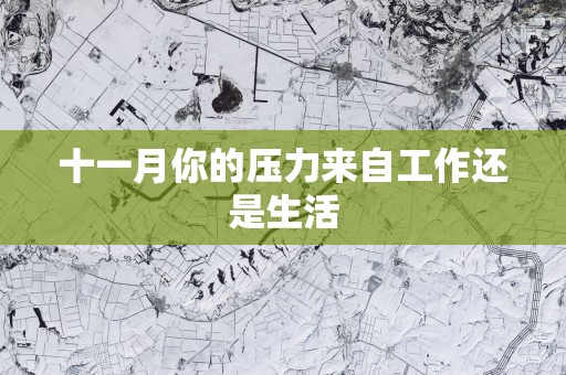 十一月你的压力来自工作还是生活