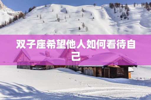 双子座希望他人如何看待自己