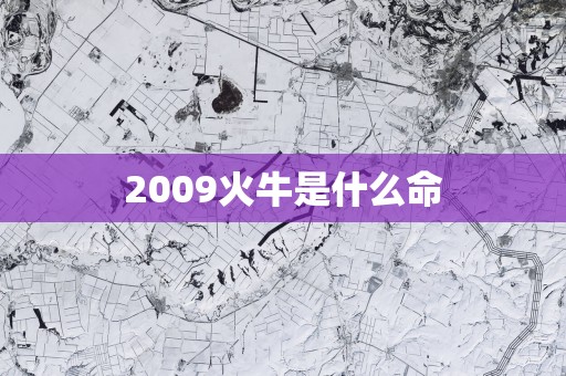 2009火牛是什么命