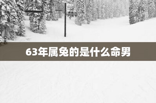 63年属兔的是什么命男