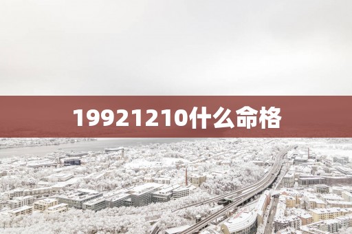 19921210什么命格