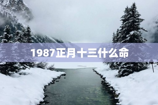1987正月十三什么命