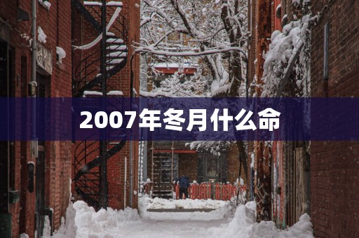 2007年冬月什么命