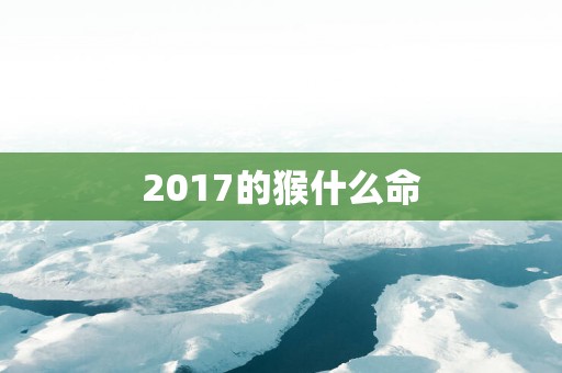 2017的猴什么命