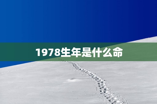 1978生年是什么命