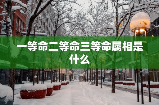 一等命二等命三等命属相是什么