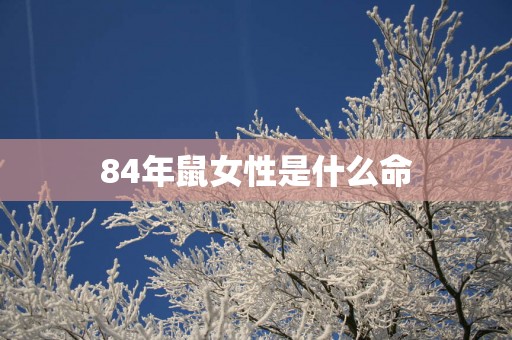 84年鼠女性是什么命