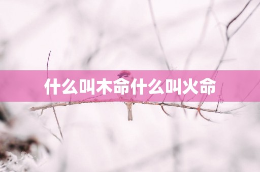 什么叫木命什么叫火命