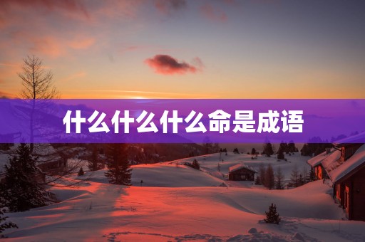 什么什么什么命是成语