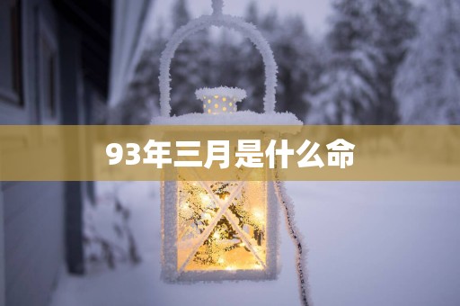 93年三月是什么命