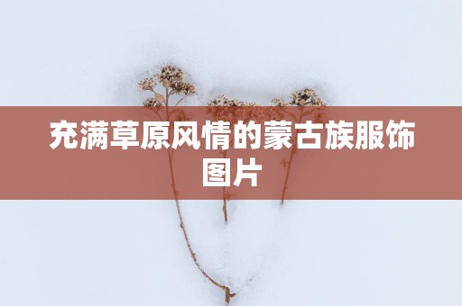 充满草原风情的蒙古族服饰图片