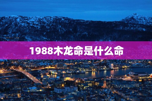 1988木龙命是什么命