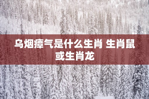 乌烟瘴气是什么生肖 生肖鼠或生肖龙