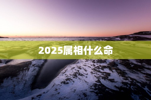 2025属相什么命