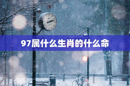97属什么生肖的什么命