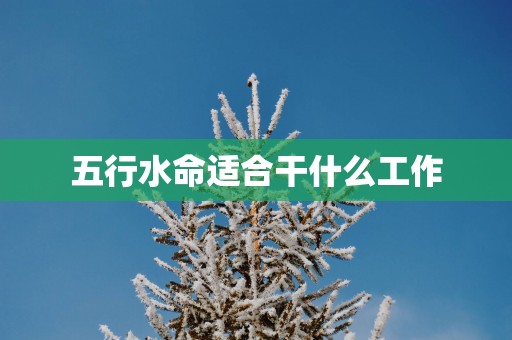 五行水命适合干什么工作