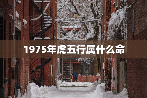 1975年虎五行属什么命