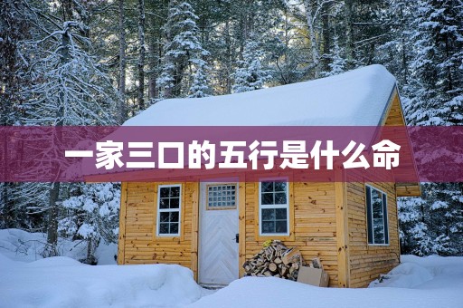 一家三口的五行是什么命