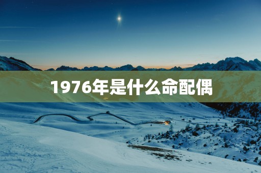 1976年是什么命配偶