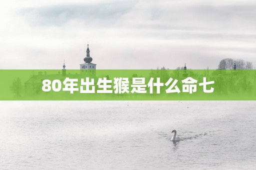 80年出生猴是什么命七